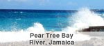 Pear Tree Bay River, Jamaca