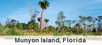 Munyon Island, Florida
